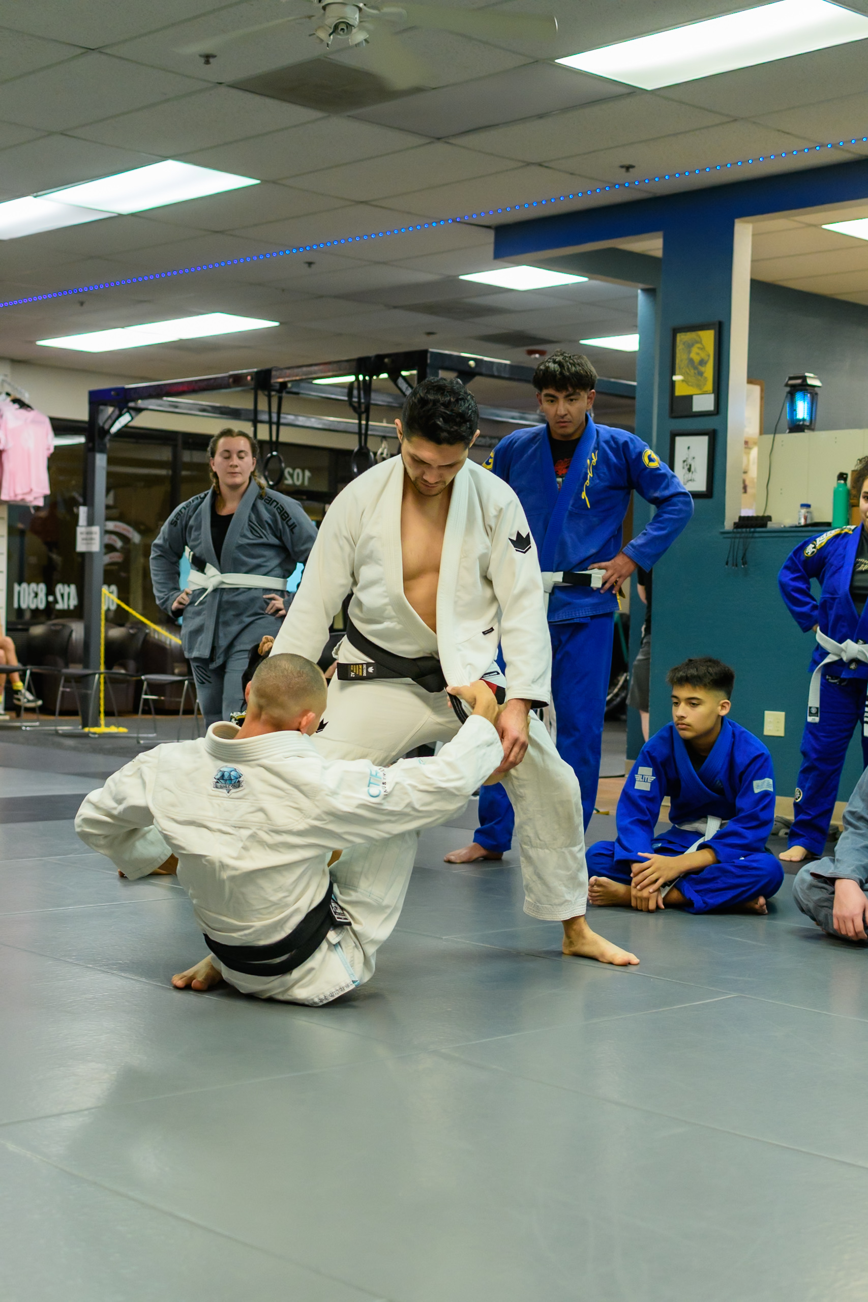 Adults training BJJ together at Proving Ground MMA